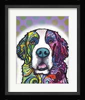 Saint Bernard Fine Art Print
