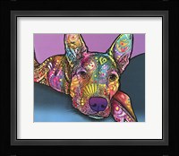 Rocky Fine Art Print