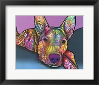 Rocky Framed Print