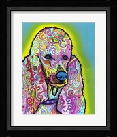 Poodle Fine Art Print