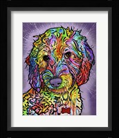 Sweet Poodle Fine Art Print