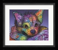 Romeo Fine Art Print