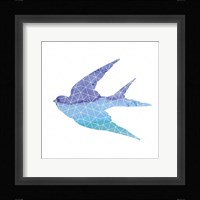 Swallow Framed Print