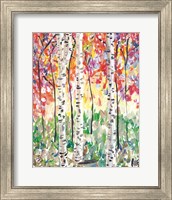 Colorful Birch Forest Fine Art Print