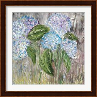 Hydrangeas in Bloom Fine Art Print