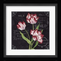 Tulips Framed Print