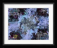 Aquarius Fine Art Print