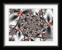 Cherry Blossoms Framed Print