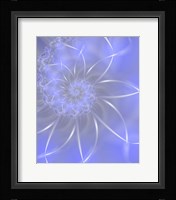 Starlight Fine Art Print
