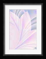 Petals I Framed Print
