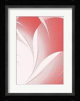 Petals II Fine Art Print