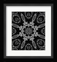 Mod Pod 4 Framed Print