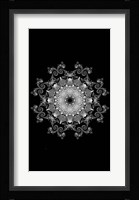 Silver 1 Framed Print