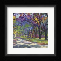 Sunny Oaks Fine Art Print