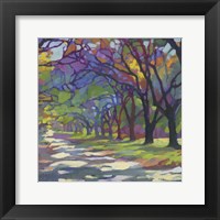 Sunny Oaks Fine Art Print