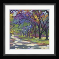 Sunny Oaks Fine Art Print