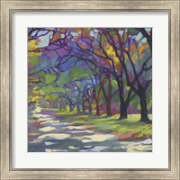 Sunny Oaks Fine Art Print