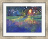 Lingering Light Fine Art Print