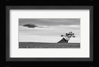 Companions Fine Art Print