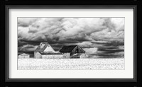 Five White Barns Fine Art Print
