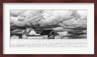 Five White Barns Fine Art Print