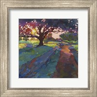 Solace Fine Art Print