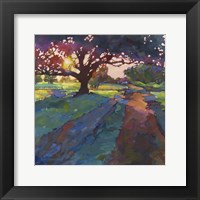 Solace Fine Art Print