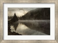 Coos Fog Fine Art Print