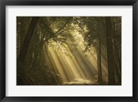 L'esprit du soleil Fine Art Print