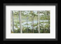 Birch Lake Fine Art Print