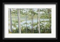 Birch Lake Fine Art Print