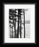 Chatter Fine Art Print