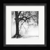 Two Park Benches Fine Art Print