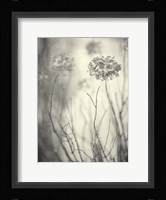 President's Day Fine Art Print