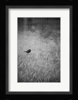 Urban Meadow Fine Art Print