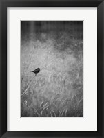 Urban Meadow Fine Art Print