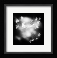 Winter Flowers Fine Art Print