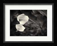 Something More Beside You Fine Art Print