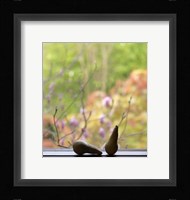 Still Life with Pears and the Magnolia Trees Beyond Fine Art Print