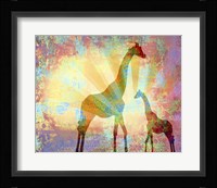 Giraffes Fine Art Print