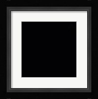 Prince 3 Fine Art Print