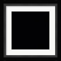 Prince  -  Purple Rain Fine Art Print