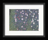 Rosiers Sous Les Arbres Fine Art Print