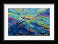After Dinner Swim - Hammer Head Shark Framed Print