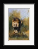 Spring Lion 1 Fine Art Print