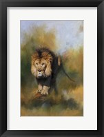 Spring Lion 1 Fine Art Print