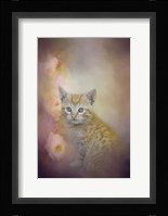 A Sweet Moment 1 Framed Print