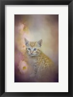 A Sweet Moment 1 Framed Print
