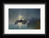 Blue Herons Catch Of The Day Fine Art Print