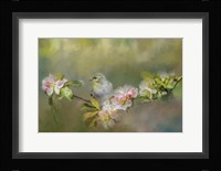 Goldfinch In The Garden 2 Fine Art Print